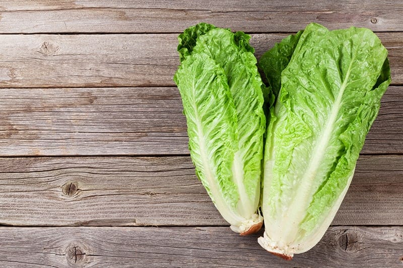 Romaine lettuce